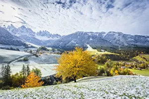 Images Dated 10th November 2015: Funes Valley, Trentino Alto Adige, Italy. Dolomites Alps in Autumn, with the first