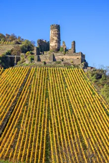 River Rhine Prints: Furstenberg castle, Oberdiebach, Rhine valley, Rhineland-Palatinate, Germany