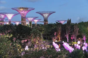 Urban Scene Prints: # Futuretogether, artwork from Teamlab Art, Super Trees, Gardens by the Bay