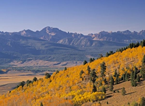 Idaho Prints: Galena, Sawtooth