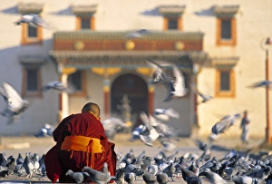 Gandan Khiid monastery