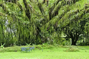 Images Dated 29th June 2012: Garden at Hacienda San Jose, Pereira, Colombia, South America