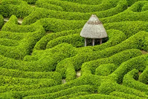 West Country Prints: Garden Maze at Glendurgan Gardens, Falmouth, Cornwall, England