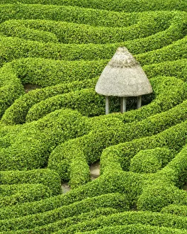 Pattern Prints: Garden Maze, Glendurgan Gardens, Falmouth, Cornwall, England