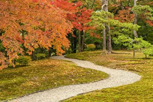 Maple Prints: Garden Path in Autumn, Jardin Isuien, Nara, Kansai, Japan
