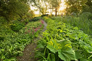Time Of Day Prints: Garden Path at Sunset, Hindringham Hall, Norfolk, England