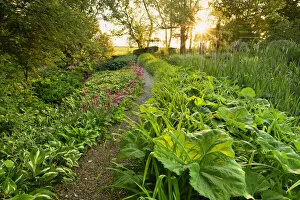 Path Gallery: Garden Path at Sunset, Hindringham Hall, Norfolk, England