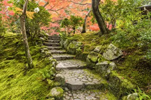 Steps Prints: Garden Steps in Autumn, Jardin Isuien, Nara, Kansai, Japan