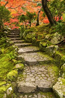 Garden Steps in Autumn, Jardin Isuien, Nara, Kansai, Japan