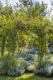 Gardens of the Bauer Palladio hotel, Guidecca, Venice, Itlay