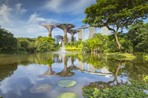 Flora Prints: Gardens by the Bay and Marina Bay Sands Hotel, Singapore