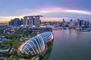 Cloud Forest Prints: Gardens by the Bay & Marina Bay Sands Hotel, Singapore