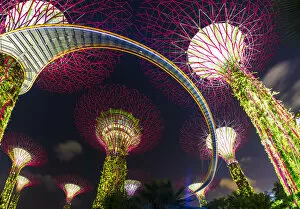 Images Dated 1st June 2015: Gardens by the Bay and Super Tree Grove at night, Marina Bay, Singapore