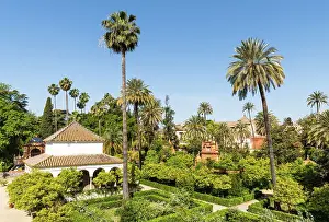 Royal Palace Prints: The gardens of the Real Alcazar de Sevilla (The Alcazar of Seville or Royal Palace of Seville)