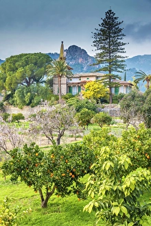 Bunyola Prints: Gardens and Villa Francisco, Bunyola, Mallorca, Balearic Islands, Spain