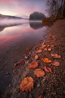 Shuswap Prints: Gardom Lake, Shuswap, British Columbia, Canada