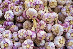 Garlic bulbs for sale at weekly farmers market on Place de la Liberté