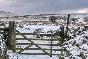 Gate Prints: Gate to open moorland on a snowy winter day