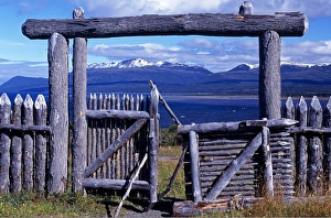 Mountain View Prints: Gates