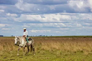 Gaucho Prints: A gaucho on horseback at Estancia Buenavista, Esquina, Corrientes, Argentina