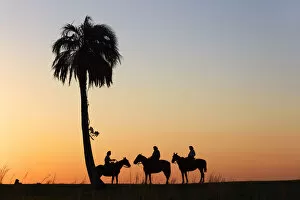 Images Dated 10th January 2022: Gauchos on horseback at sunset, Estancia Buena Vista, Esquina, Corrientes, Argentina