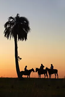 Images Dated 10th January 2022: Gauchos on horseback at sunset, Estancia Buena Vista, Esquina, Corrientes, Argentina