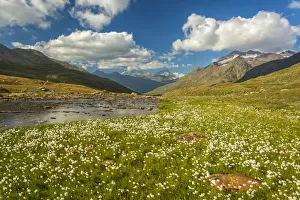 Province Of Brescia Prints: Gaviapass, Stelvio national park, province of Brescia, Italy