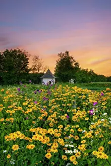 Pastoral Prints: Gazebo at Muster Field Farm at sunset with flower garden, North Sutton, New Hampshire, USA