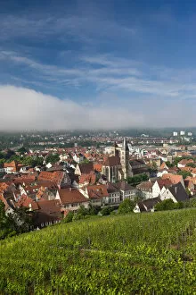 Germany, Baden-Wurttemberg, Esslingen-Am-Neckar, town view from vineyards