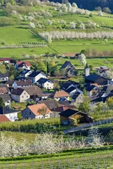 Images Dated 9th April 2017: Germany, Baden-Wurttemberg, Schliengen. Buildings in the village of Niedereggenen