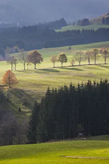 Images Dated 29th July 2015: Germany, Baden-Wurttemburg, Black Forest, Bernau im Schwarzwald, mountain landscape