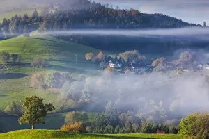 Images Dated 27th October 2014: Germany, Baden-Wurttemburg, Black Forest, Horben, morning fog, autumn