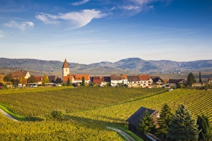 Germany, Baden-Wurttemburg, Burkheim, Kaiserstuhl Area, vineyards elevated village view