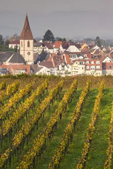 Images Dated 29th July 2015: Germany, Baden-Wurttemburg, Kaiserstuhl Area, Endingen, elevated view of vineyards