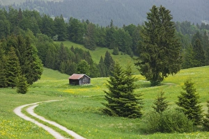 Germany, Bayern / Bavaria