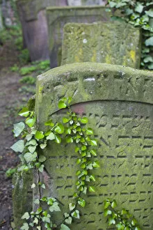 Images Dated 9th September 2008: Germany, Hessen, Frankfurt-am-Main, Old Jewish cemetery