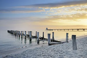 Germany, Mecklenburg-Western Pomerania, Baltic Sea, Darss, Zingst