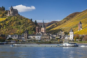 Germany, Rheinland-Pfalz, Bacharach, town view, autumn