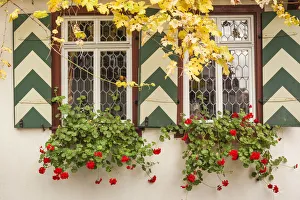 Images Dated 29th July 2015: Germany, Rheinland-Pfalz, Bacharach, town building detail