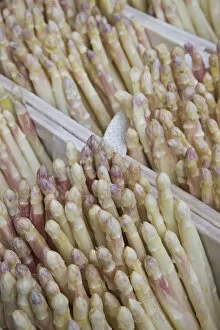 Images Dated 9th September 2008: Germany, Rhineland-Palatinate, Koblenz, White Asparagus for sale
