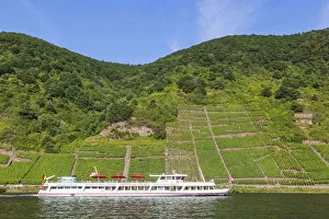 Germany, Rhineland-Palatinate, Moselle, Cruiseboat and Vineyards