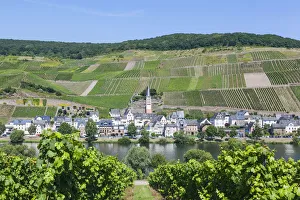 Images Dated 21st October 2016: Germany, Rhineland-Palatinate, Moselle, Zell