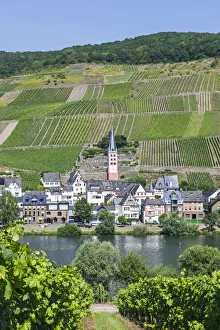 Images Dated 21st October 2016: Germany, Rhineland-Palatinate, Moselle, Zell