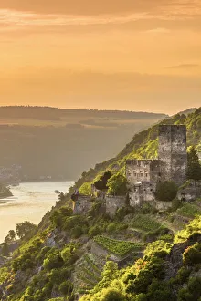 River Rhine Prints: Germany, Rhineland Palatinate, River Rhine, Kaub, Burg Gutenfels or Kaub Castle