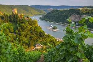 Germany, Rhineland Palatinate, River Rhine, Kaub, Burg Gutenfels or Kaub Castle
