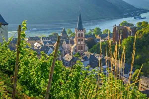 Images Dated 5th August 2015: Germany, Rhineland Palatinate, River Rhine, Bacharach, Church of Saint Peter (Sankt