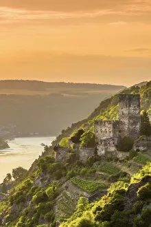 Rheinland Pfalz Gallery: Germany, Rhineland Palatinate, River Rhine, Kaub, Burg Gutenfels or Kaub Castle