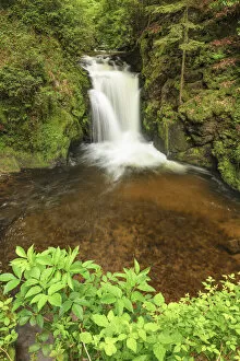 Images Dated 24th August 2021: Geroldsau Waterfall, Baden Baden, Black Forest, Baden-Wurttemberg, Germany