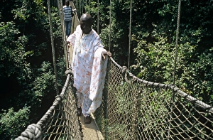 Ghana, Central region, Kakum National Park