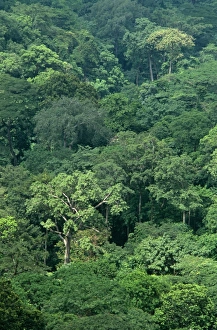 Ghana, Volta Region, Shairi